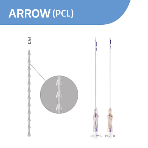  (Arrow (PCL 