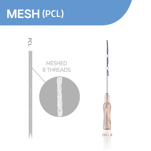 Mesh (PCL)