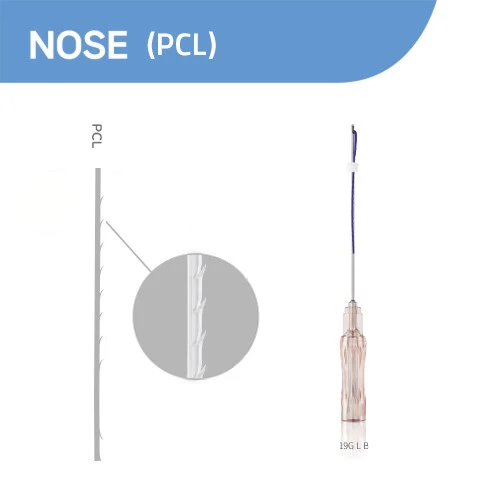 Nose (PCL)